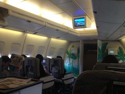 長榮航空班機(jī)里的熱帶涂鴉率先給旅客上了一堂小清新課。