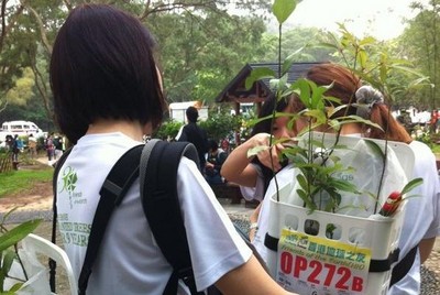 每組植樹(shù)隊(duì)伍都需要設(shè)計(jì)和制造承載用具，運(yùn)送樹(shù)苗和種植工具到指定植樹(shù)場(chǎng)。