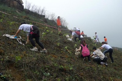 今年逾700人報(bào)名參加，為一幅去年被山火燒去大范圍林木的山坡種植約6,000棵樹(shù)苗。