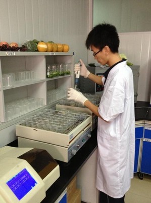 沃爾瑪生鮮配送中心的工作人員正在做農(nóng)藥殘留檢測。