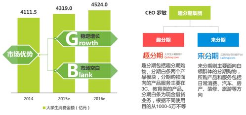 分期電商市場(chǎng)深度調(diào)研 現(xiàn)狀、機(jī)遇與挑戰(zhàn)